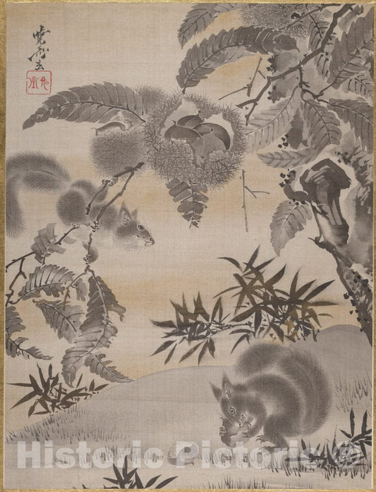 Art Print : Kawanabe Ky?sai - Squirrels Gathering Chestnuts - Japan : Vintage Wall Art