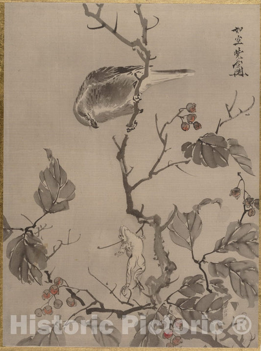 Art Print : Kawanabe Ky?sai - Bird and Frog - Japan : Vintage Wall Art