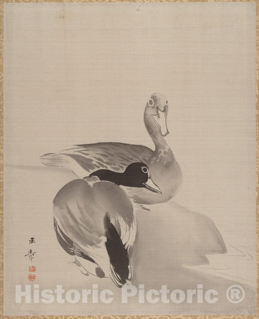 Art Print : Kawabata Gyokush? - Pair of Ducks - Japan : Vintage Wall Art