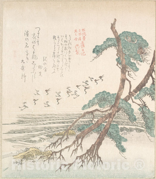 Art Print : Kubo Shunman - Sea-Side Landscape with Pine Trees and Flying Cranes - Japan : Vintage Wall Art