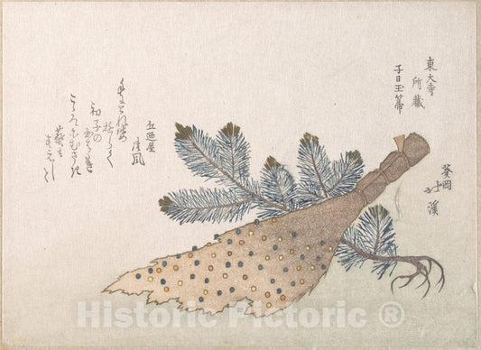 Art Print : Totoya Hokkei - Young Pine Tree and Jeweled Broom - Japan : Vintage Wall Art