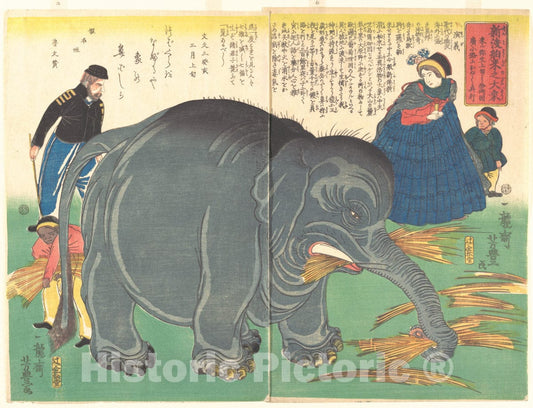 Art Print : Ichiry?sai Yoshitoyo - Recently Imported Big Elephant - Japan : Vintage Wall Art
