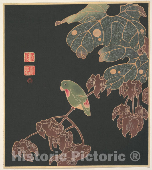 Art Print : It? Jakuch? - The Paroquet - Japan : Vintage Wall Art