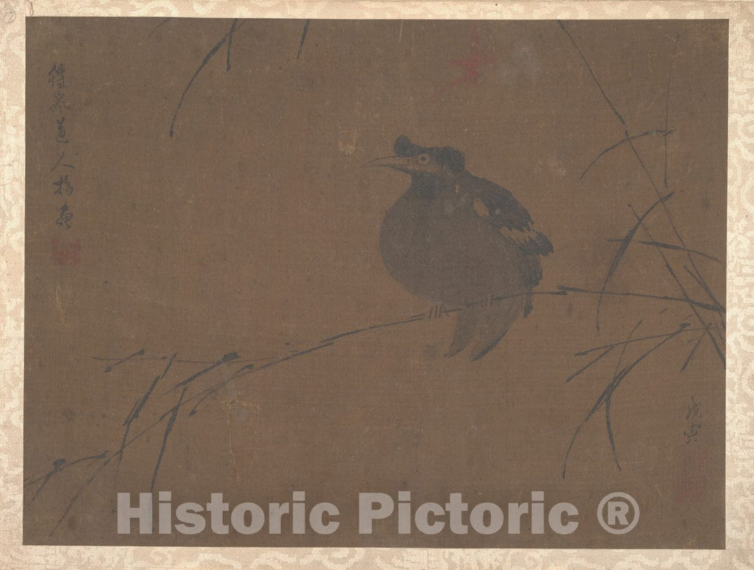 Art Print : Fulan Taorên - Mynah on Reed - China - Ming Dynasty (?) (1368–1644) : Vintage Wall Art