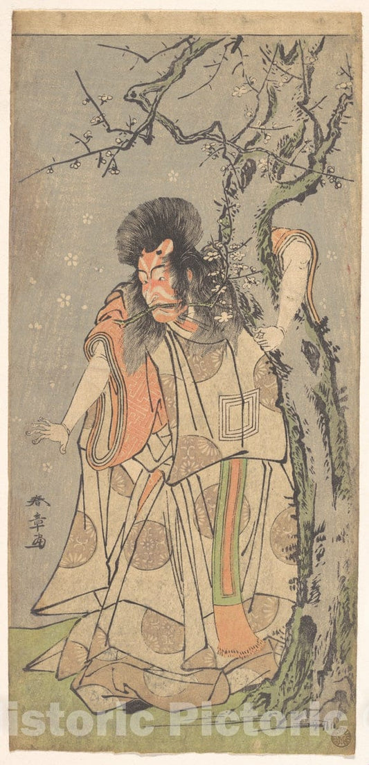 Art Print : Katsukawa Shunsh? - The Fifth Ichikawa Danjuro as a Court Noble (Kuge) - Japan : Vintage Wall Art