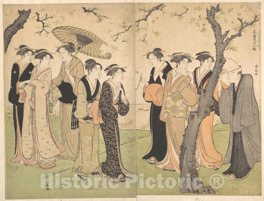 Art Print : Torii Kiyonaga - Group of Six Geisha Under The Cherry Trees on Gotenyama - Japan : Vintage Wall Art