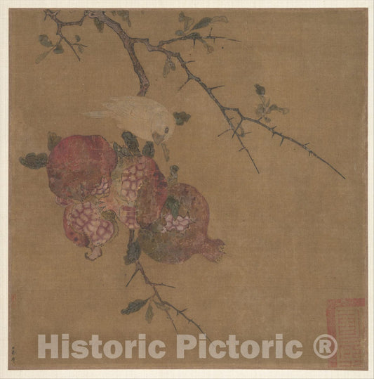 Art Print : Unidentified Artist - Pomegranates - China - Ming (1368–1644)–Qing (1644–1911) Dynasty : Vintage Wall Art