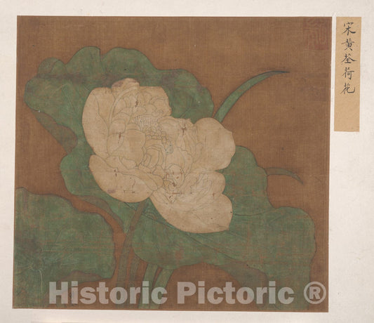 Art Print : Unidentified Artist - Lotus - China - Ming Dynasty (?) (1368–1644) : Vintage Wall Art