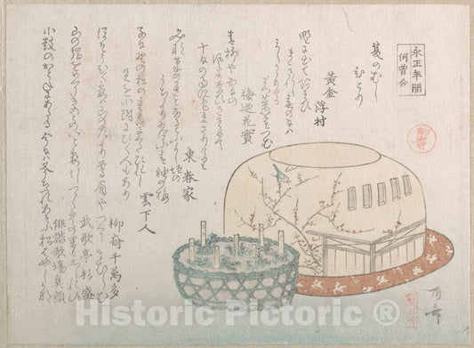 Art Print : Ry?ry?kyo Shinsai - Insect Catcher and Potted Herbs - Japan : Vintage Wall Art