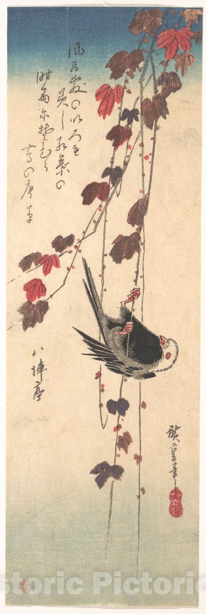 Art Print : Utagawa Hiroshige - Long-tailed Tit on Autumn Ivy : Vintage Wall Art