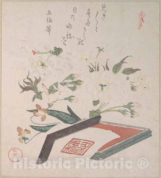 Art Print : Kubo Shunman - Cherry Blossoms and Seal-Box with Ink and Ruler - Japan : Vintage Wall Art