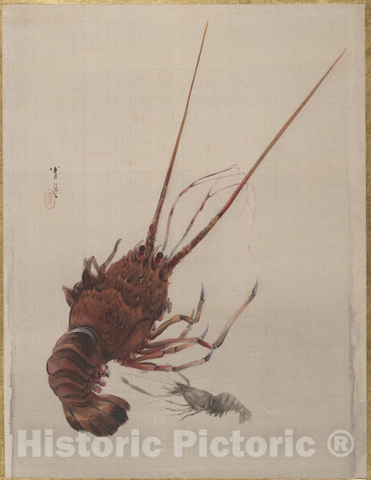 Art Print : Watanabe Seitei - Crayfish - Japan : Vintage Wall Art
