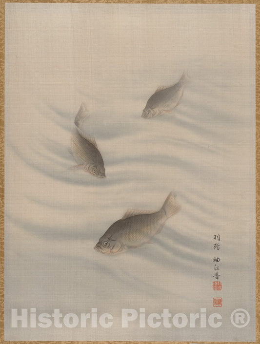 Art Print : Seki Sh?k? - Fishes Swimming - Japan 1 : Vintage Wall Art