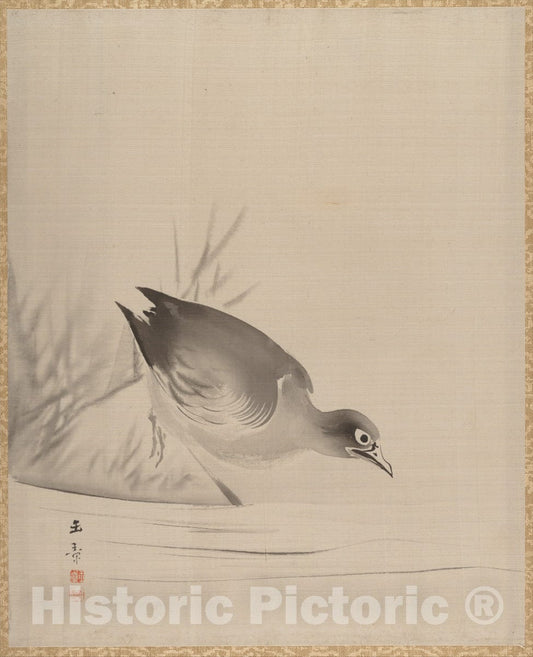 Art Print : Kawabata Gyokush? - Bird at The Water's Edge - Japan : Vintage Wall Art