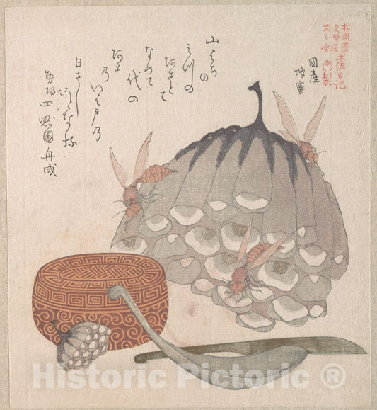 Art Print : Kubo Shunman - Hives with Wasps, and a Box with a Spoon for Honey - Japan : Vintage Wall Art