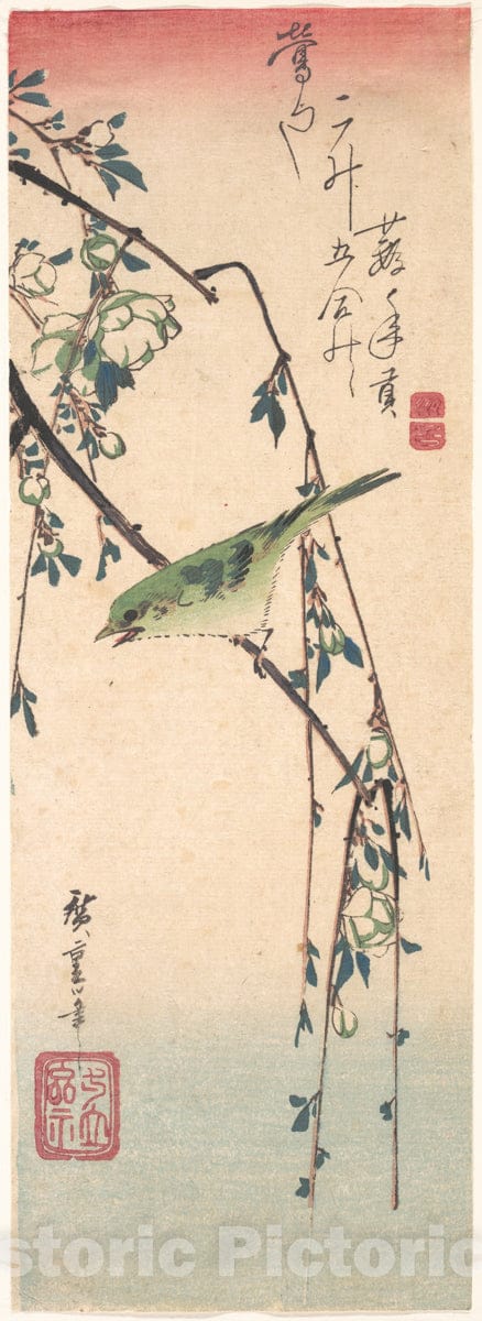 Art Print : Utagawa Hiroshige - Warbler on a Plum Branch : Vintage Wall Art