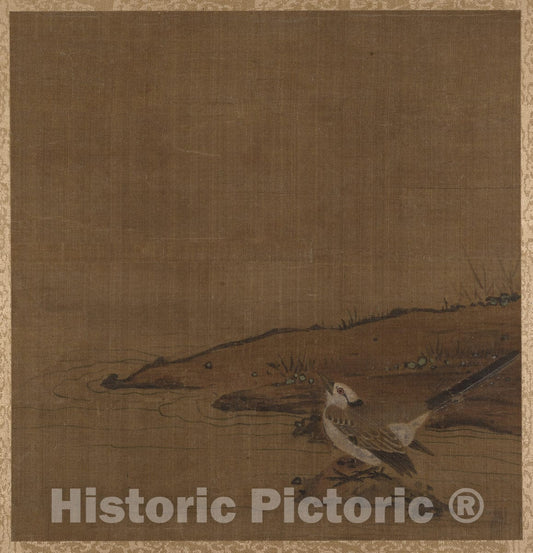 Art Print : Unidentified Artist - Bird Near Water (from Album of Studies by Modern Artists, no. 62) - China - Ming (1368–1644) or Qing (1644–1911) Dynasty : Vintage Wall Art