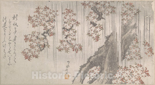 Art Print : Ry?ry?kyo Shinsai - Cherry Blossoms in The Rain - Japan : Vintage Wall Art