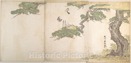 Art Print : Utagawa Toyoharu - Crane and Their Young in Their Nest in The Branches of a Pine-Tree - Japan : Vintage Wall Art