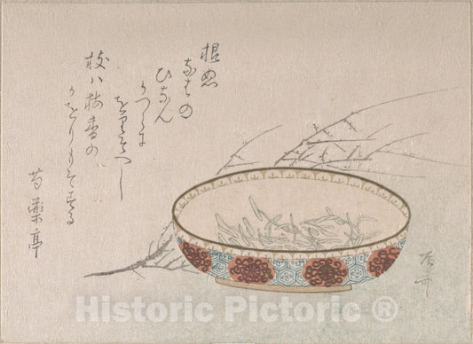 Art Print : Ry?ry?kyo Shinsai - Branch of Plum Blossoms and Bowl - Japan : Vintage Wall Art