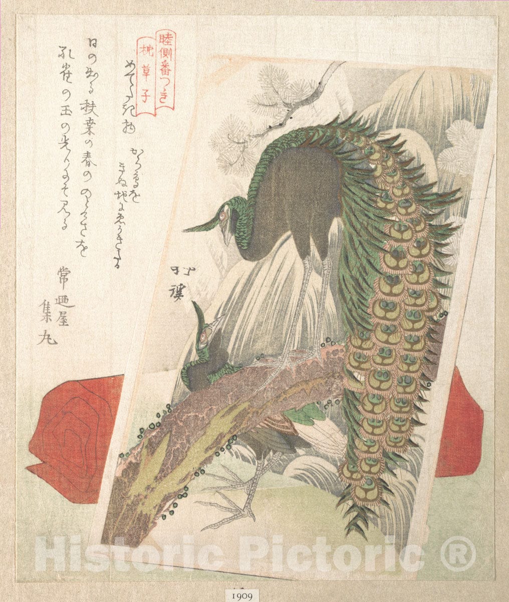 Art Print : Totoya Hokkei - Painting of Peacocks, Pines, a Waterfall, and a Roll of Red Fabric - Japan : Vintage Wall Art