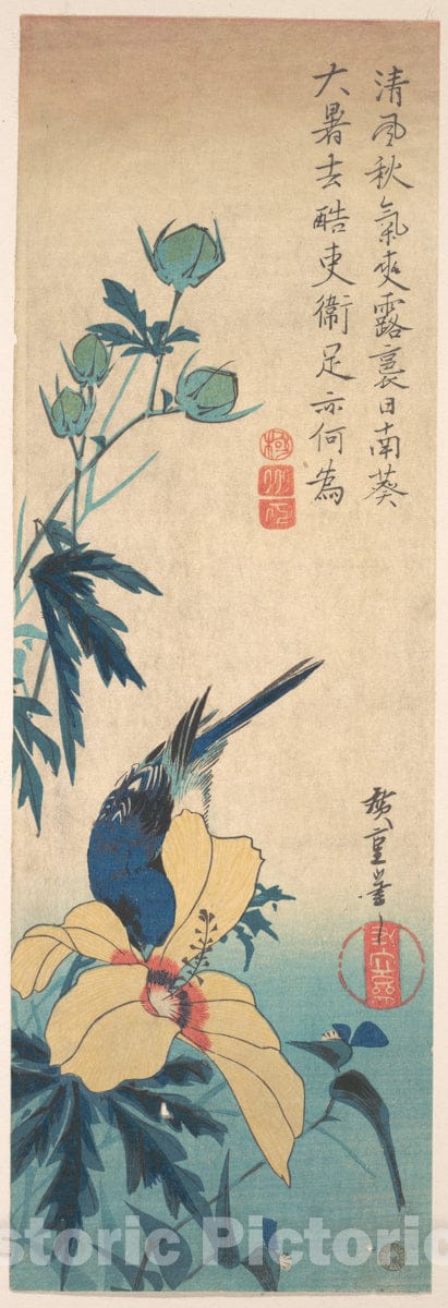 Art Print : Utagawa Hiroshige - Hibiscus and Bluebird : Vintage Wall Art