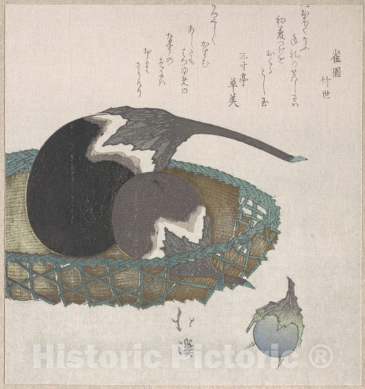 Art Print : Totoya Hokkei - Eggplants in a Basket - Japan : Vintage Wall Art