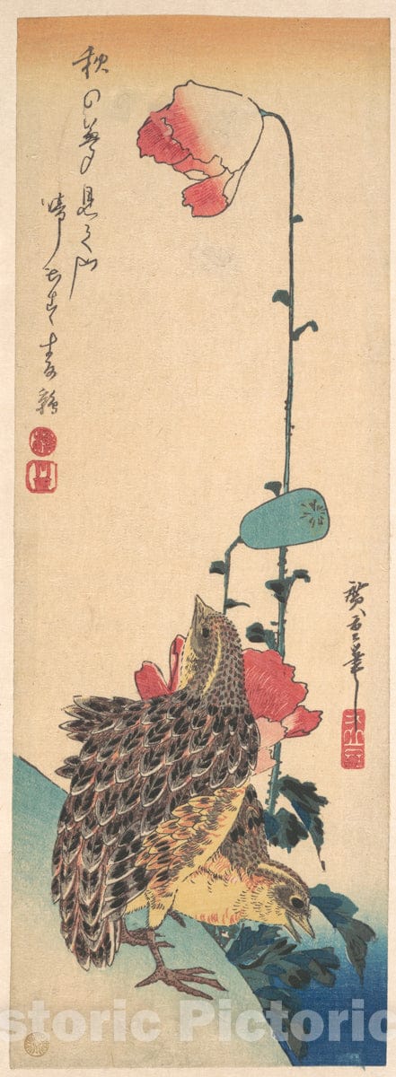 Art Print : Utagawa Hiroshige - A Pair of Quails and Poppies : Vintage Wall Art