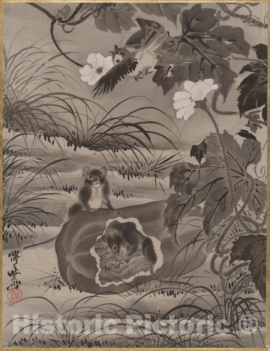 Art Print : Kawanabe Ky?sai - Mice in a Melon - Japan : Vintage Wall Art