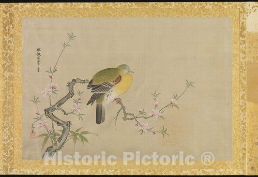 Art Print : Kano Tsunenobu - Album of Copies of Chinese Paintings - Japan v.1 : Vintage Wall Art