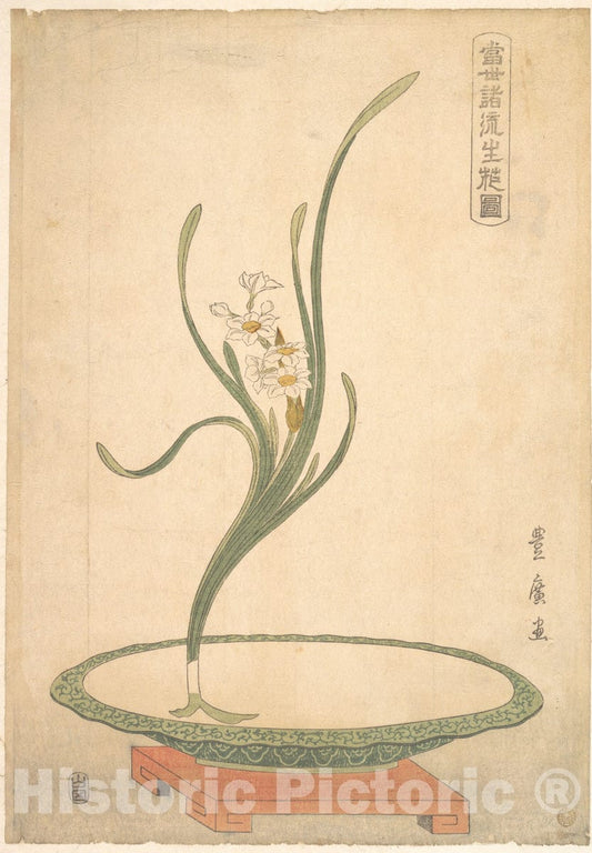 Art Print : Utagawa Toyohiro - Flower Arrangement of Suisen (Narcissus) in a Flat Green Dish - Japan : Vintage Wall Art
