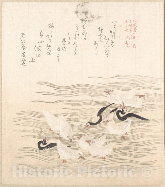 Art Print : Kubo Shunman - Sea-Gulls Playing on The Water - Japan : Vintage Wall Art