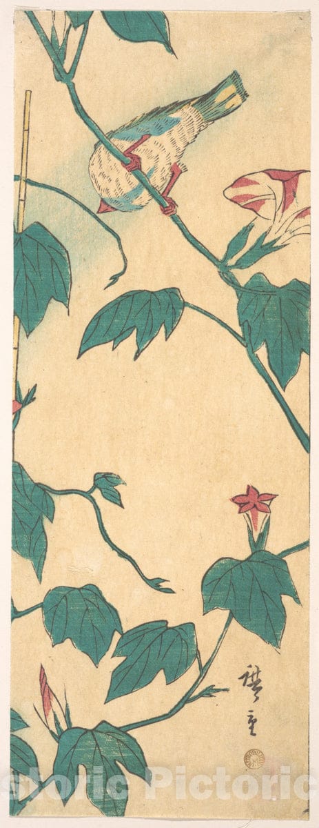 Art Print : Utagawa Hiroshige - Morning Glories and Bird : Vintage Wall Art