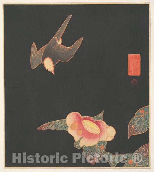 Art Print : It? Jakuch? - Swallow and Camellia - Japan : Vintage Wall Art