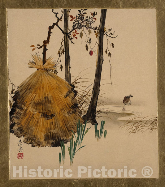 Art Print : Artist: Shibata Zeshin : Vintage Wall Art