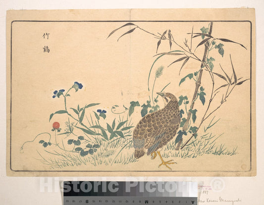 Art Print : Kuwagata Keisai - Zhu ji - Japan : Vintage Wall Art