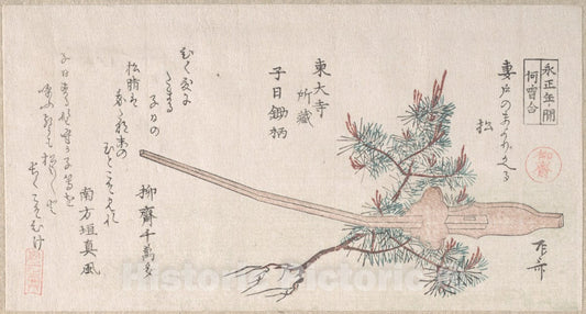 Art Print : Ry?ry?kyo Shinsai - Young Pine Tree and The Handle of a Plow - Japan : Vintage Wall Art