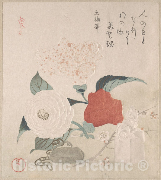 Art Print : Kubo Shunman - Camellia Flowers, a Netsuke and a Seal - Japan : Vintage Wall Art