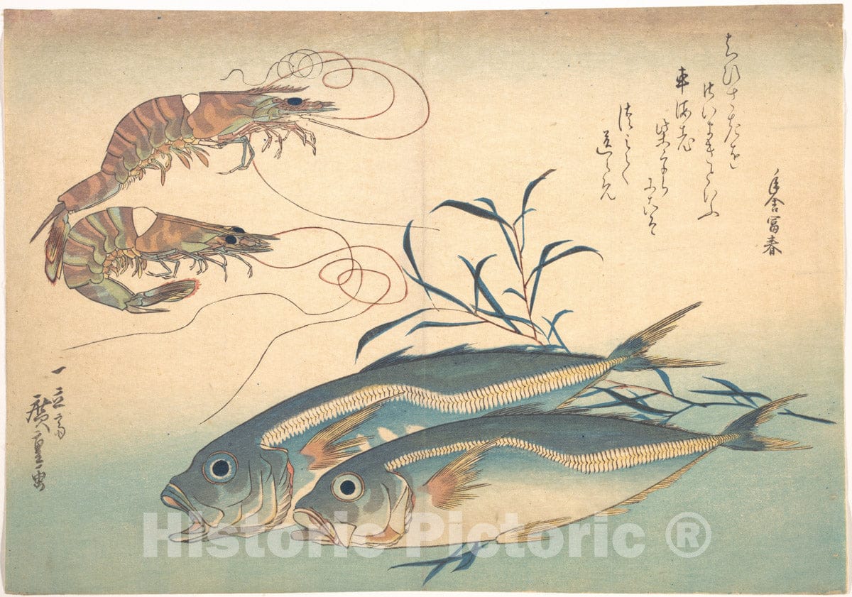 Art Print : Utagawa Hiroshige - Aji Fish and Kuruma-EBI, from The Series Uozukushi (Every Variety of Fish) - Japan : Vintage Wall Art