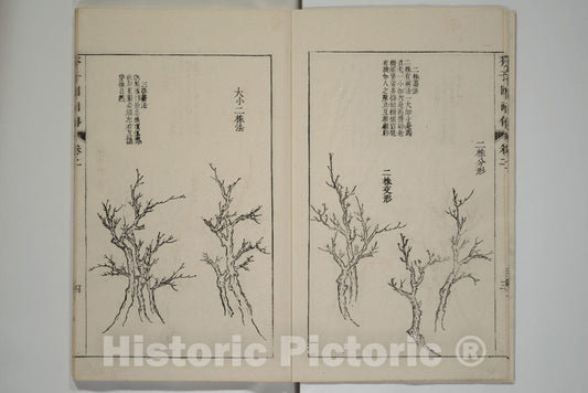 Art Print : Wang GAI - The Mustard Seed Garden Painting Manual (Jieziyuan huazhuan