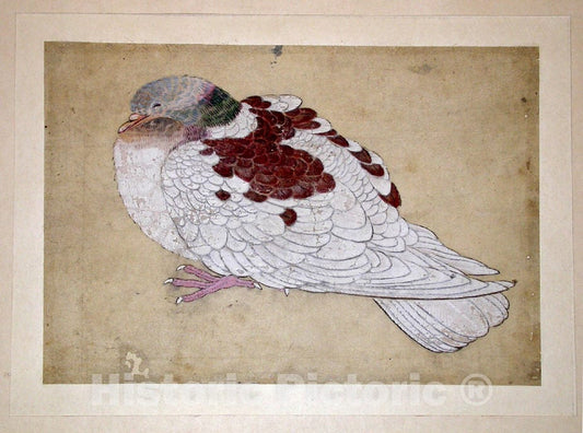 Art Print : in The Style of Ogawa Haritsu (Ritsu?) - Bird - Japan : Vintage Wall Art