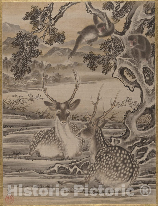 Art Print : Kawanabe Ky?sai - Deer and Monkeys - Japan : Vintage Wall Art