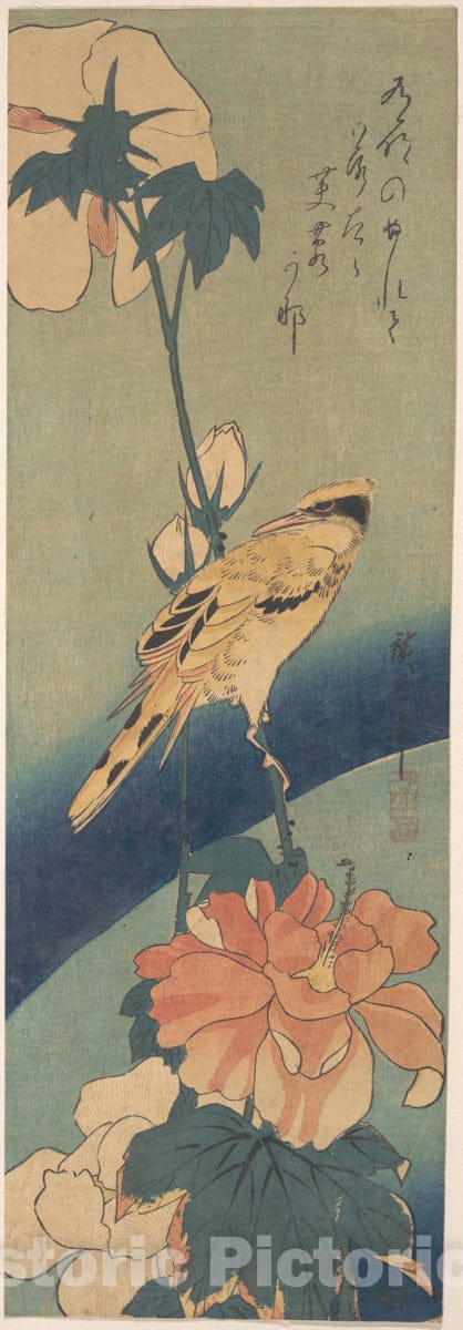 Art Print : Utagawa Hiroshige - Black-naped Oriole Perched on a Stem of Rose Mallow : Vintage Wall Art