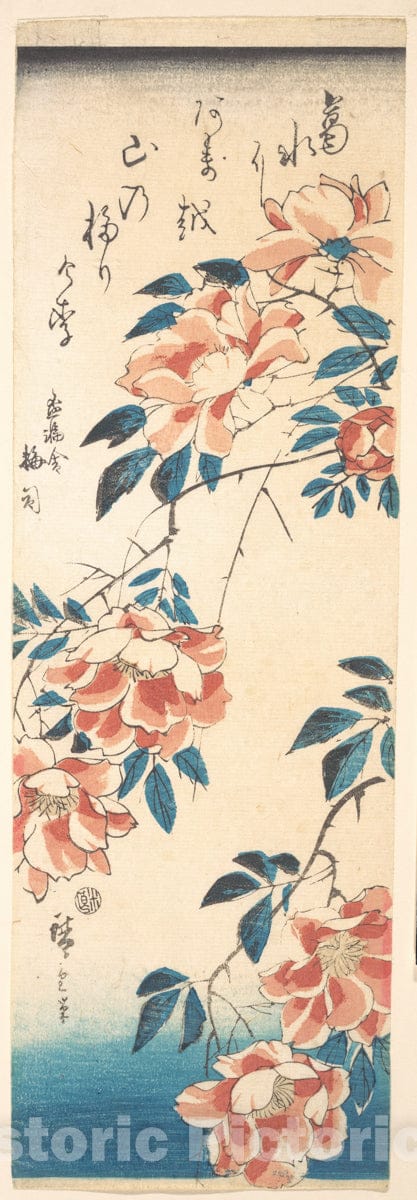 Art Print : Utagawa Hiroshige - Rose : Vintage Wall Art