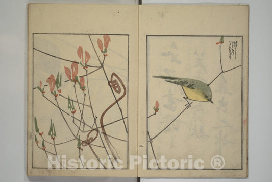 Art Print : Sat? Suiseki - Suiseki Picture Album (Suiseki gafu nihen), Second Series - Japan : Vintage Wall Art