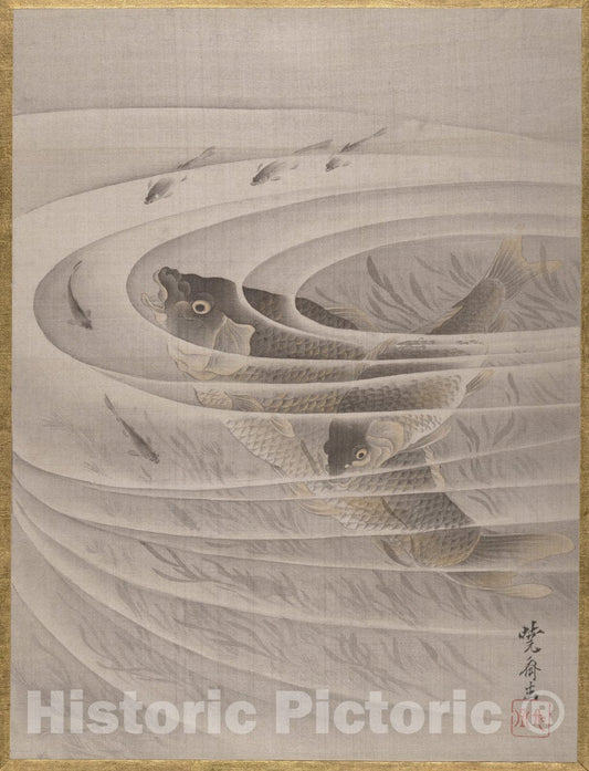 Art Print : Kawanabe Ky?sai - Fish in a Whirlpool - Japan : Vintage Wall Art