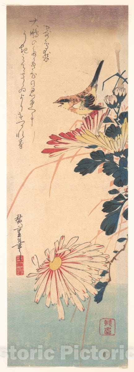 Art Print : Utagawa Hiroshige - A Wren and Chrysanthemums : Vintage Wall Art