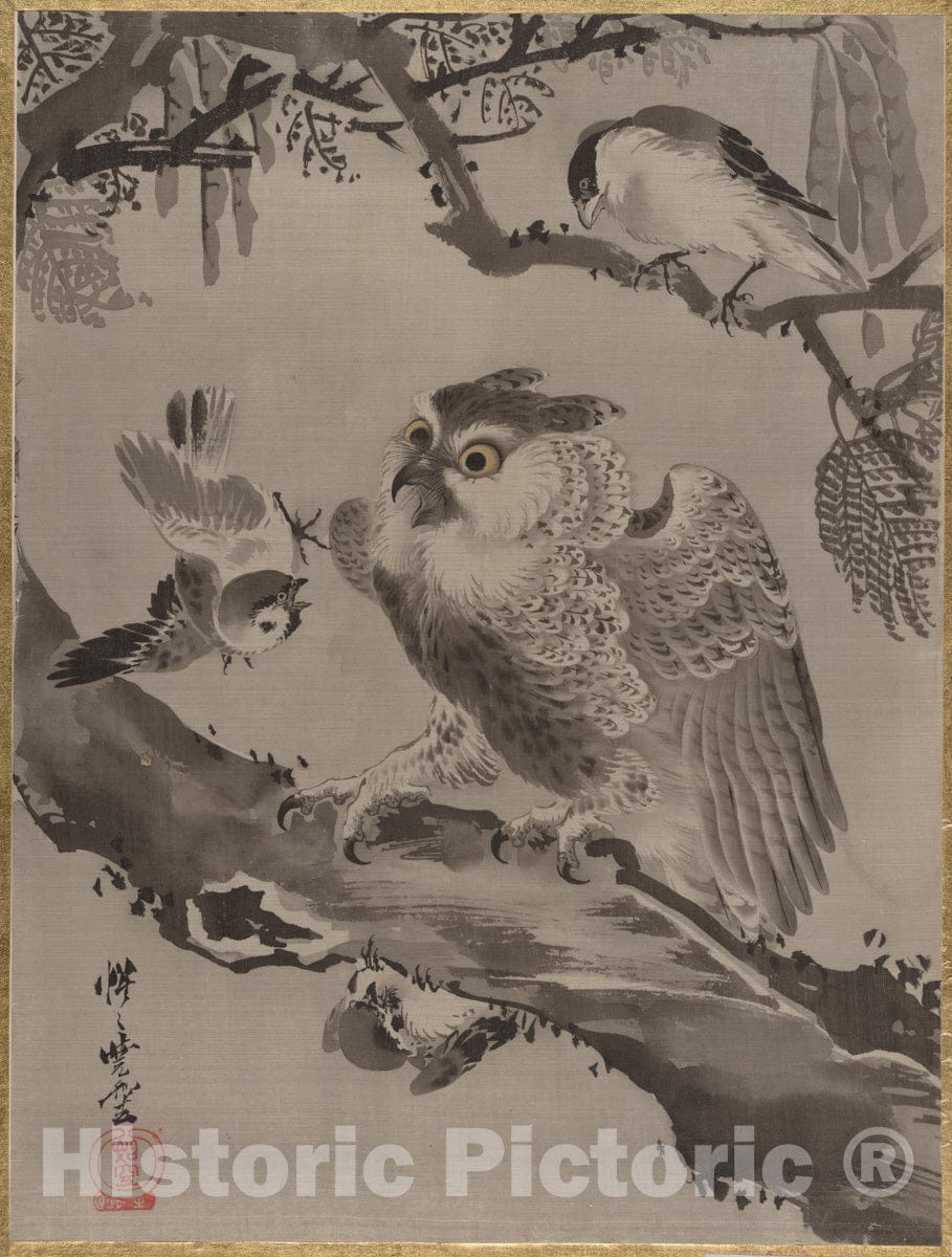 Art Print : Kawanabe Ky?sai - Owl Mocked by Small Birds - Japan : Vintage Wall Art