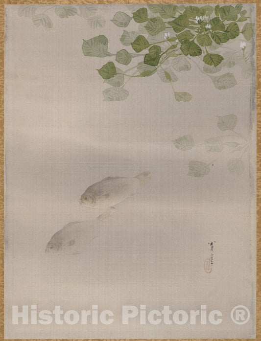 Art Print : Watanabe Seitei - Fishes - Japan : Vintage Wall Art