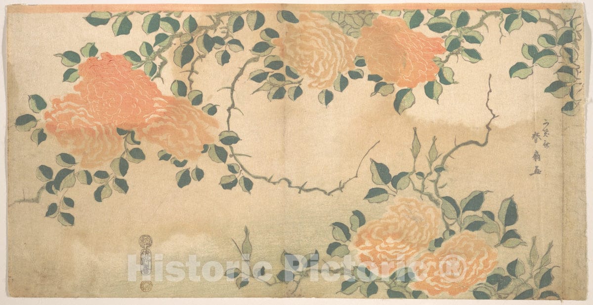 Art Print : Kashosai Shunsen - Roses - Japan : Vintage Wall Art